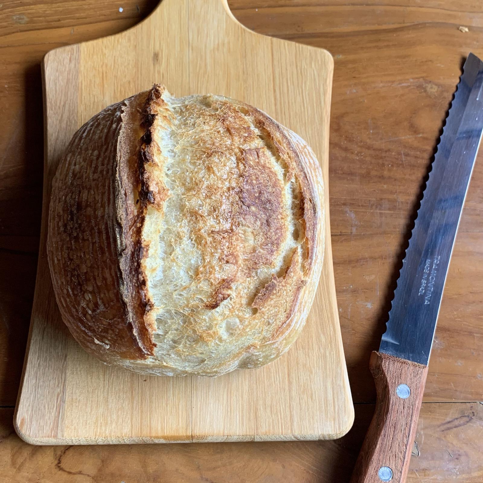 Sourdough Basic Rustic - Roti Artisan Fermentasi Alami Jakarta
